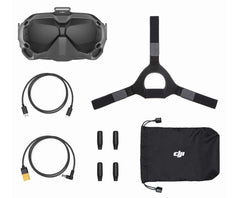 DJI FPV Goggles