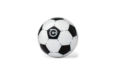 Sphero Mini Soccer