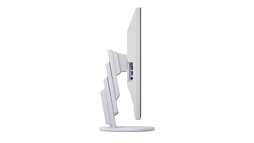 Monitor 31,5" 4k UHD Flexscan Ev3895 - Bianco