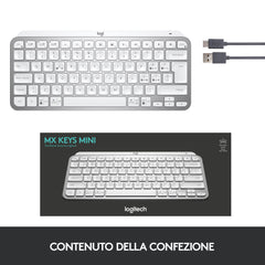 Tastiera Wireless MX Keys Mini - Grigio