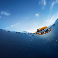 HOVERAir AQUA Combo - Videocamera volante autonoma per l'acqua