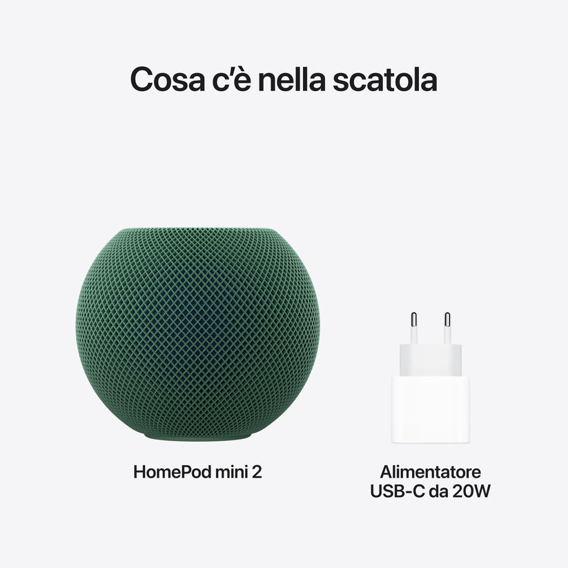 IMG-22175944