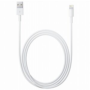 Cavo Apple da Lightning a USB (2 m)
