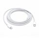 Cavo di ricarica Apple USB-C (2 m)