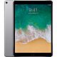 iPad Pro 10,5