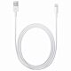 Cavo Apple da Lightning a USB (2 m)