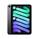 iPad mini Wi-Fi + Cellular - 256GB - Grigio Siderale (2021)