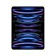 iPad Pro 12,9