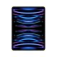 iPad Pro 12,9