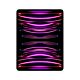 iPad Pro 12,9