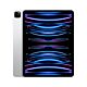 12.9-inch iPad Pro Wi‑Fi 128GB - Silver (Demo)