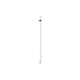 Apple Pencil (prima generazione) con adattatore USB-C