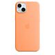 Apple Custodia MagSafe in Silicone iPhone 15 Plus - Arancione