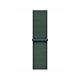 Cinturino Sport Loop verde lago (40 mm)