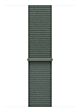 Sport Loop salvia (46 mm)