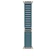 Alpine Loop blu chiaro (49 mm) - Large - Titanio naturale