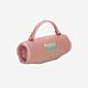 Speaker JBL Charge 6 rosa