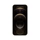 iPhone 12 Pro Max 128GB oro - Usato - Grado A