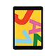 iPad 10,2