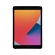 iPad 10,2