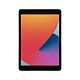iPad 10,2