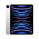 iPad Pro 12,9