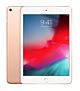 iPad mini 7,9