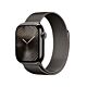 Apple Watch Series 10 GPS + Cellular Cassa in Titanio Ardesia con Cinturino Loop in maglia milanese Ardesia