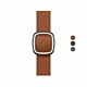 Cinturino Modern (42 mm)