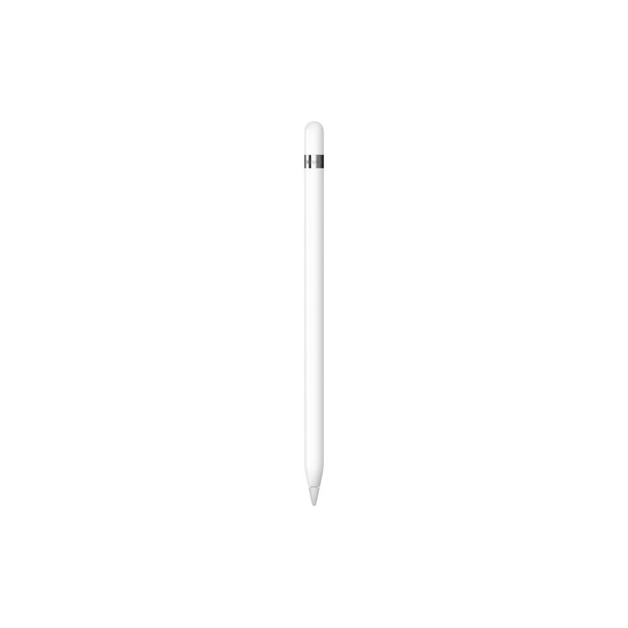 Apple Pencil (prima generazione) con adattatore USB-C