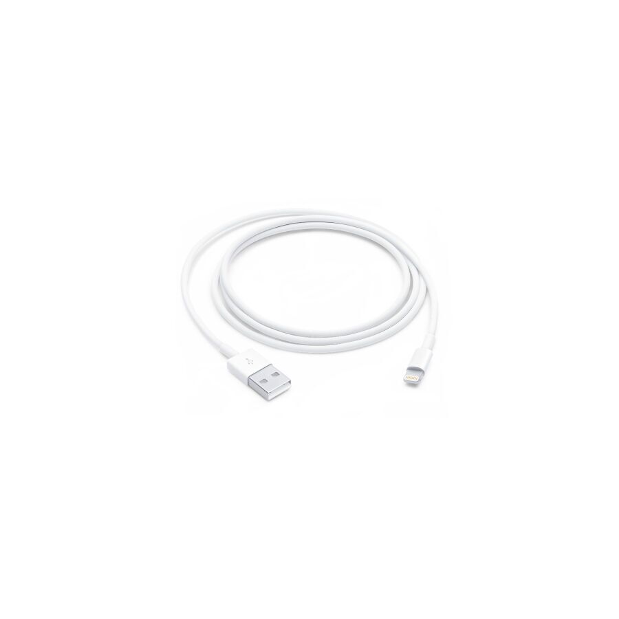 Cavo da Lightning a USB (1 m)
