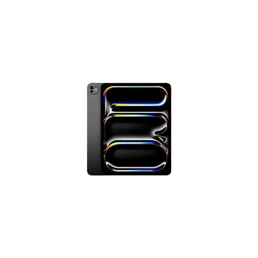 13-inch iPad Pro WiFi 256GB with Standard glass - Space Black (Demo)