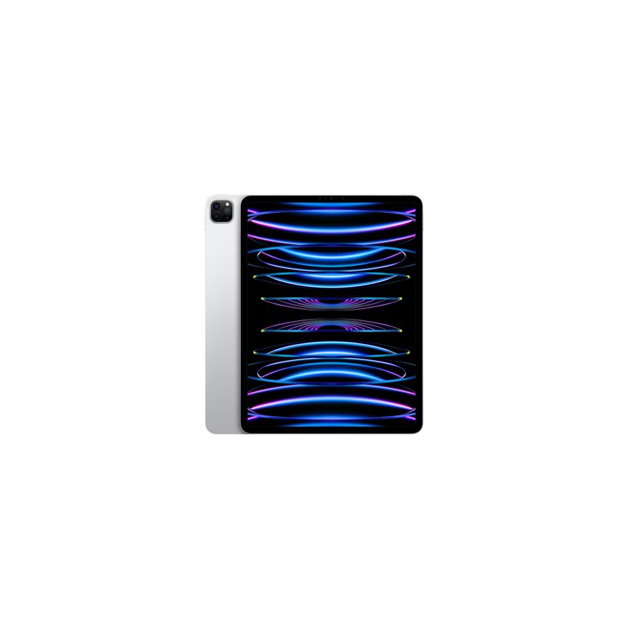 iPad Pro 12,9" 6a gen. Wi-Fi 128GB argento - Usato