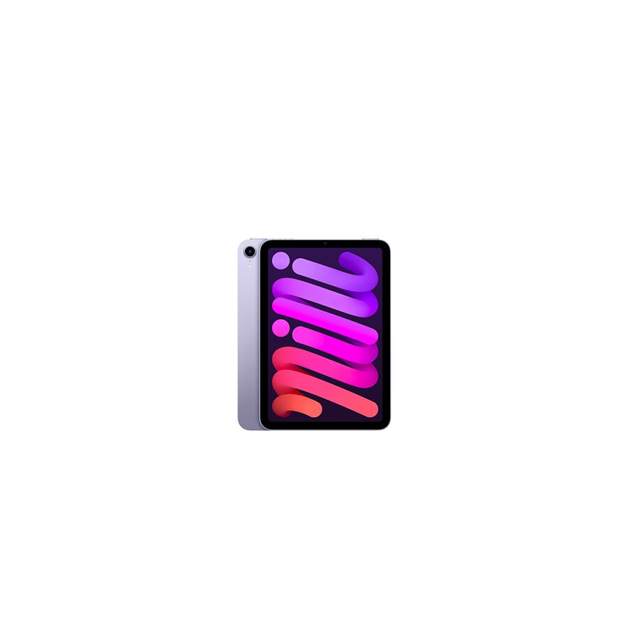 iPad mini 8,3" 6a gen. Wi-Fi 64GB viola - Usato -