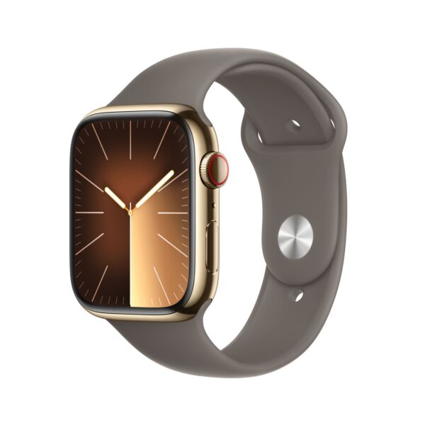 Apple watch acciaio outlet vs alluminio
