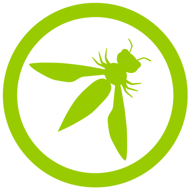 Owasp