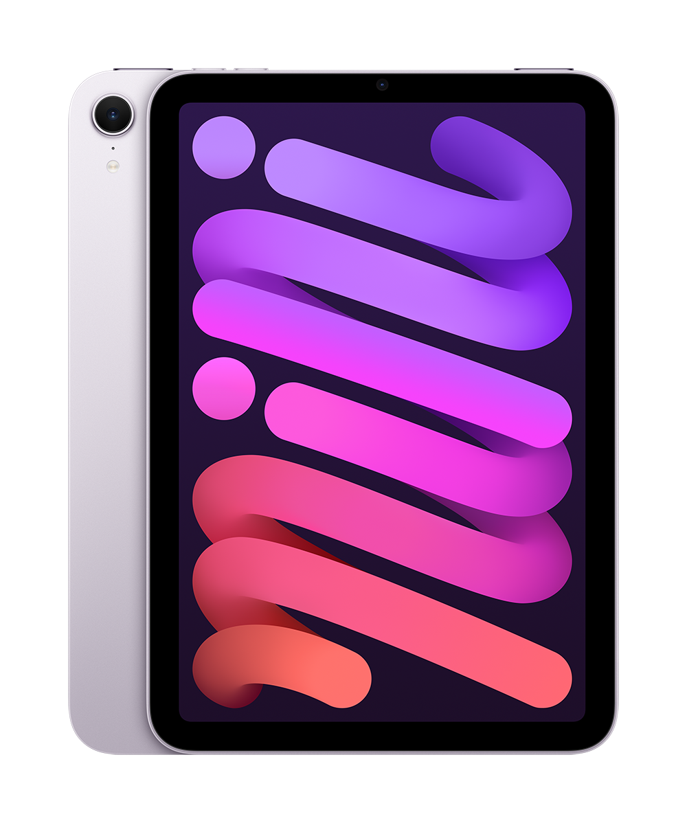iPadmini256